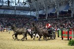 Extreme - 00475